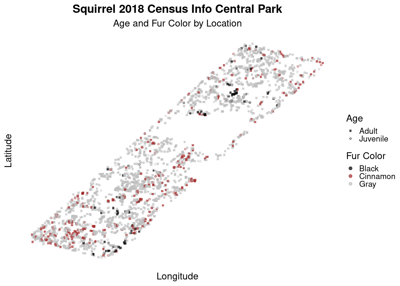 Squirrel Locations in Central Park, New York City